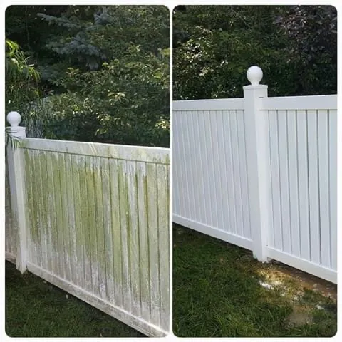 Fence Cleaning