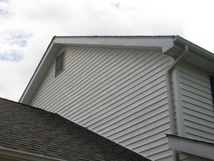 Roof Cleaning